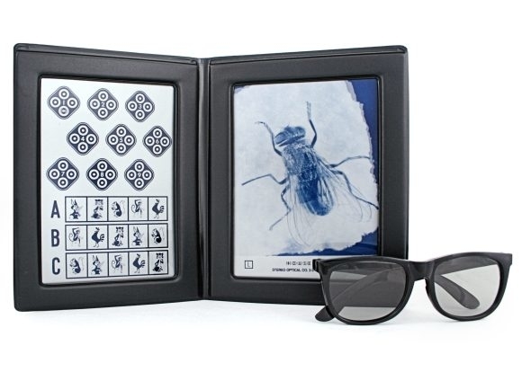 Original Stereo Fly Stereotest